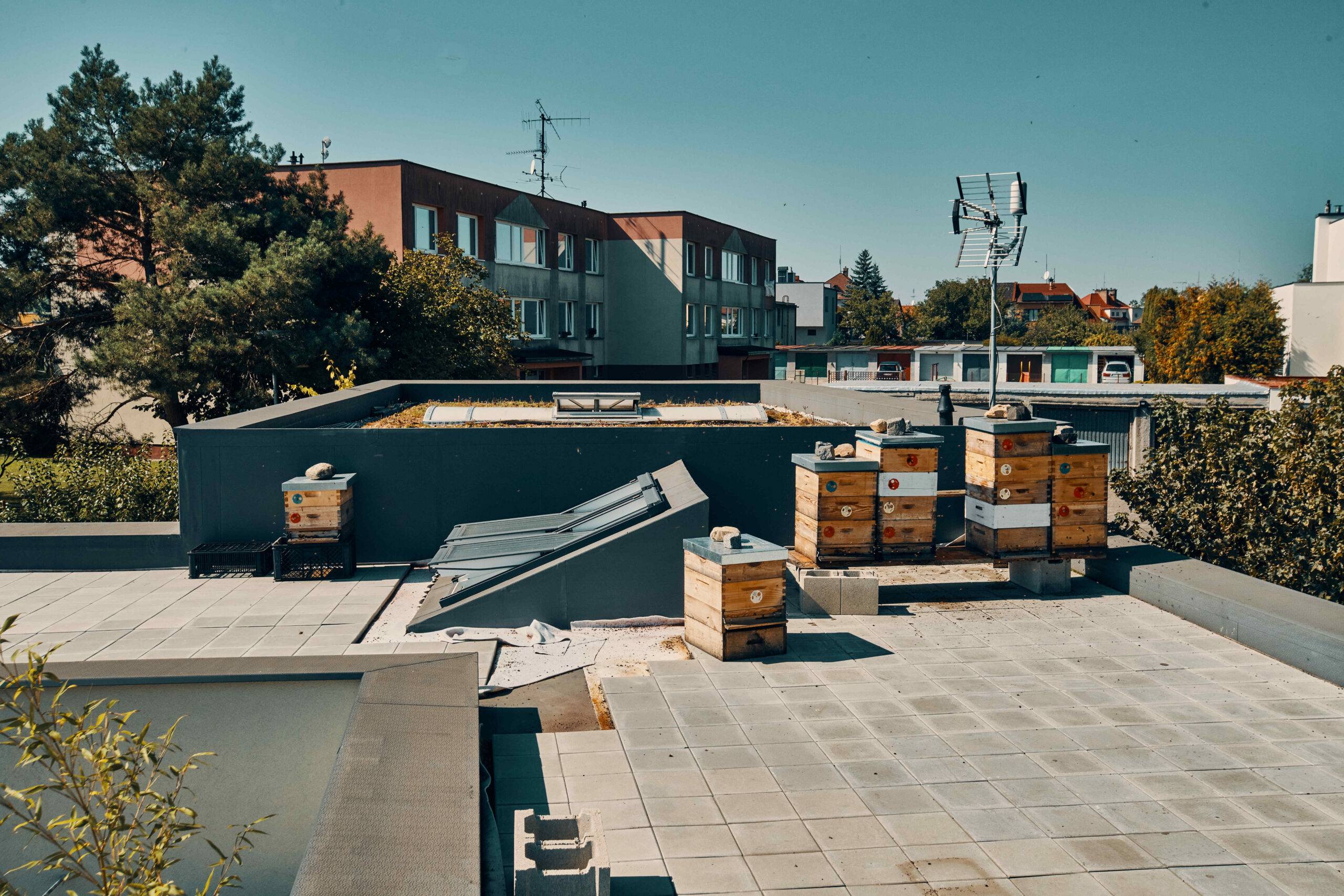 novostavba rodinného domu, RD, návrh budov, návrh domu, návrh interiéru, interiér, dyzajn, design, projekt, studie, návrh, architekt, Vít Lopatovský, Mladá Boleslav