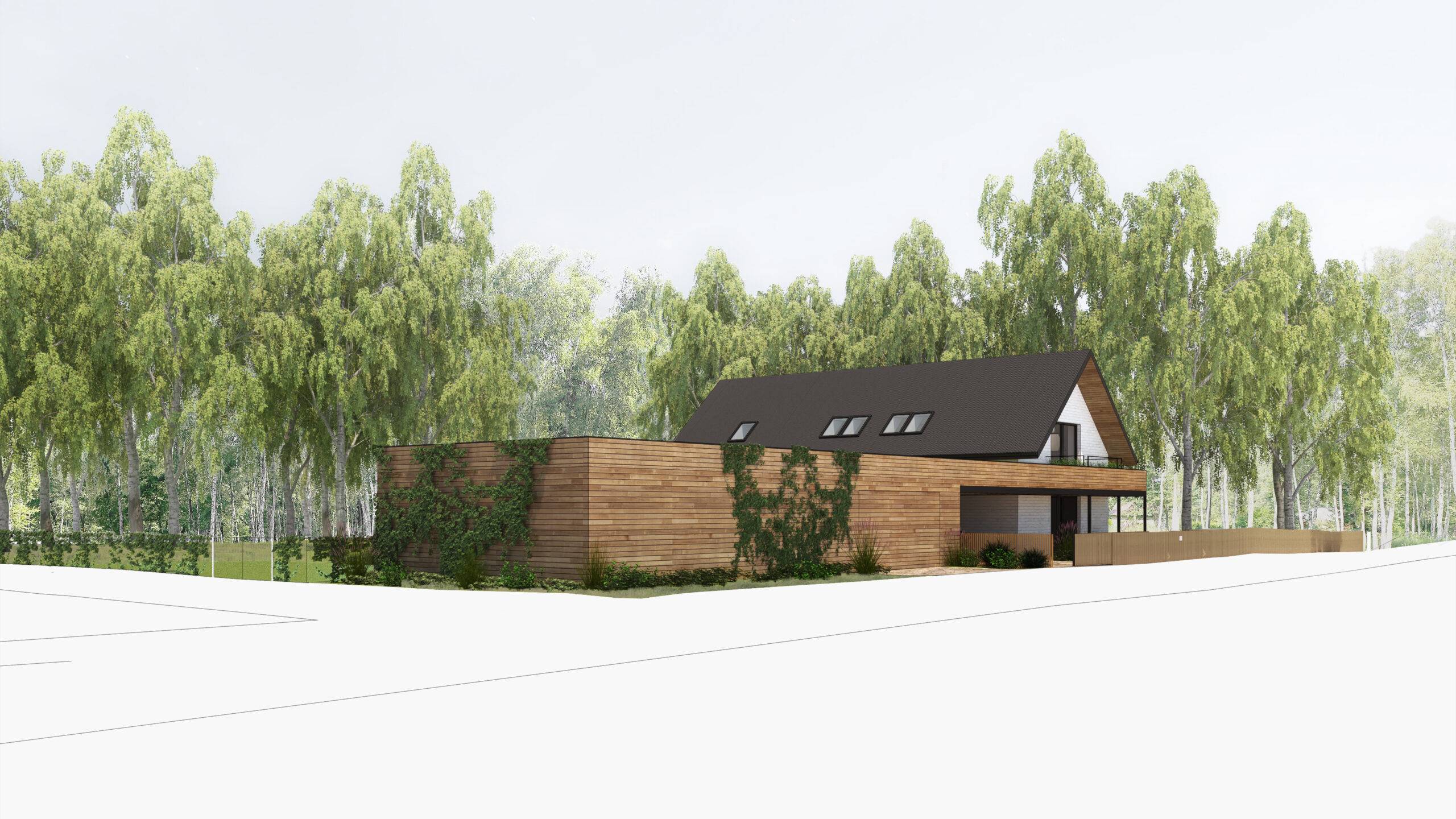 návrh domu, návrh zahrady, architektonická studie, projekt, návrh, Hradištko, chata, novostavba, interiér, Vít Lopatovský
